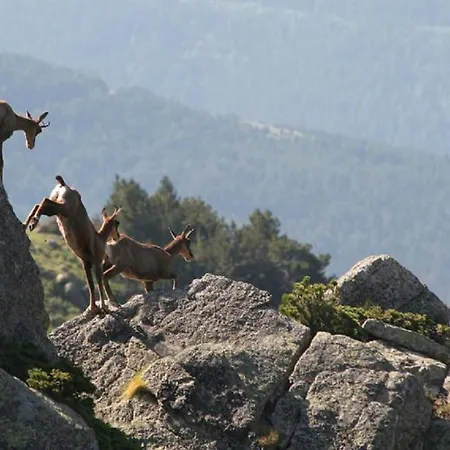 Serrat Del Vent - Adults Only 3*